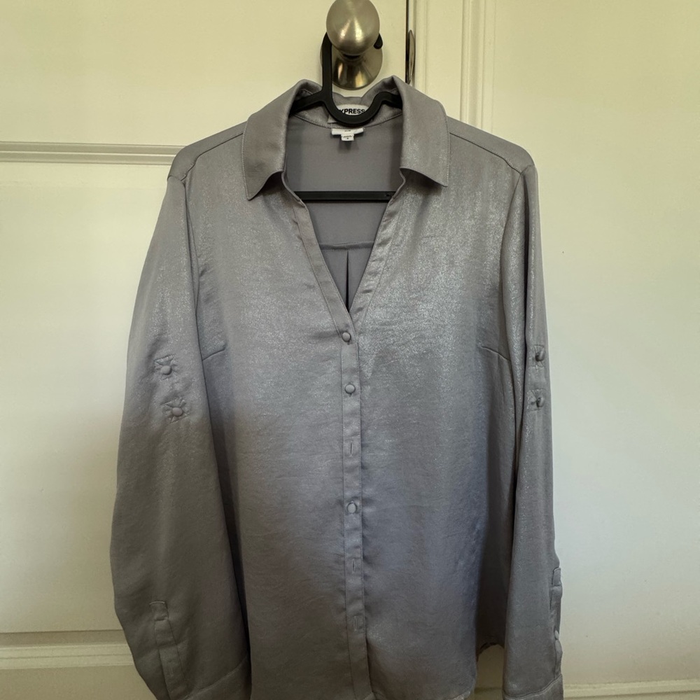 Express Silver Button-Up Blouse